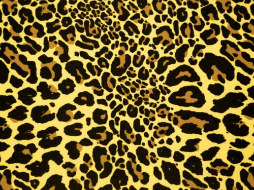 Lycra Jaguar