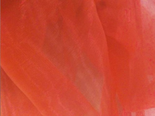 Organza - Pink Grapefruit
