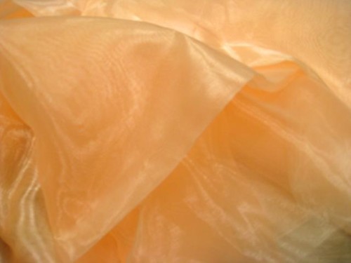 Organza - Champagne