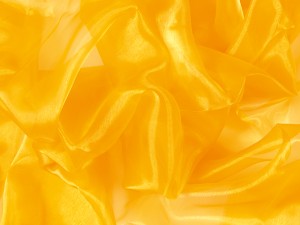 Organza - Saffron