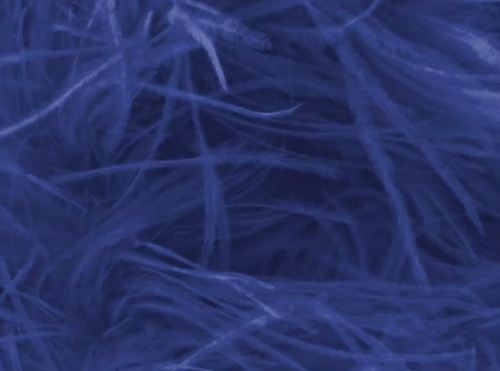 Pióra strusie - Blueberry