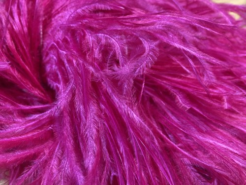 Pióra strusie - Passion pink
