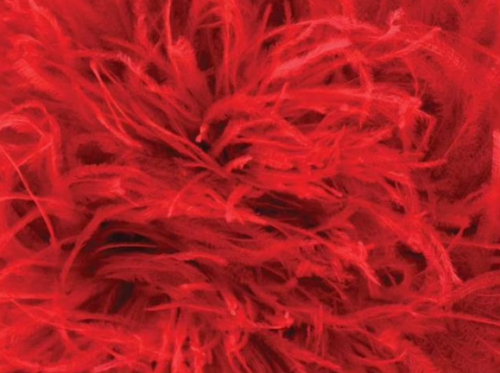 Pióra strusie - RED