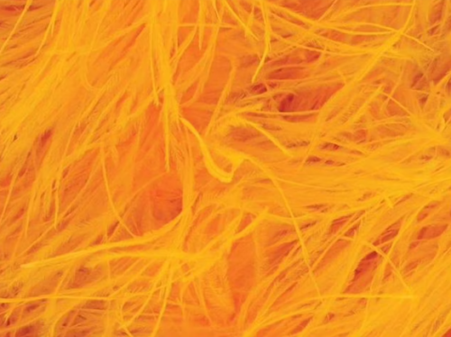 Pióra strusie - Saffron