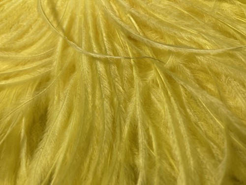 Pióra strusie - Yellow