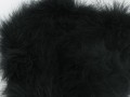 Boa marabut Black