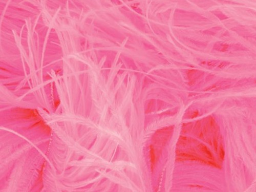 Pióra strusie - Flamingo pink