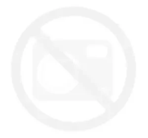 Xilion Rose 2028 - Chrysolite ss12