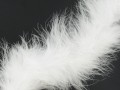 Boa marabut White