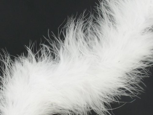 Boa marabut White
