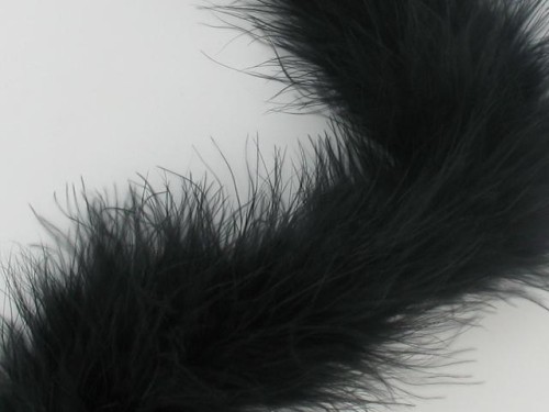 Boa marabut Black