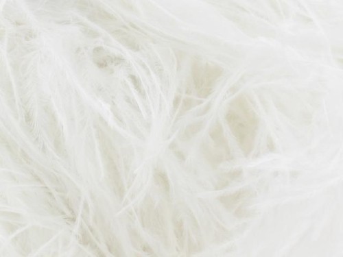 Boa strusie White